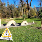 Lochau See UFERLANDSCHAFT Baumpflanzungen PATEN Herbst 16-11-2024 _5_.jpg