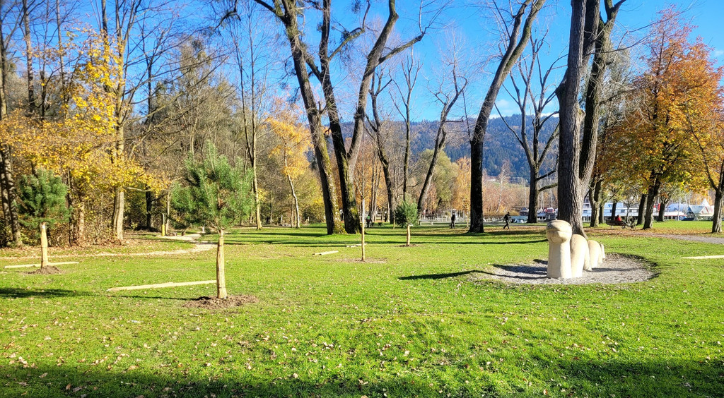 Lochau See UFERLANDSCHAFT Baumpflanzungen PATEN Herbst 16-11-2024 _7_.jpg