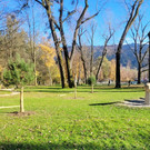 Lochau See UFERLANDSCHAFT Baumpflanzungen PATEN Herbst 16-11-2024 _7_.jpg