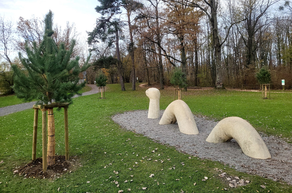 Lochau See UFERLANDSCHAFT Baumpflanzungen PATEN Herbst 16-11-2024 _8_.jpg