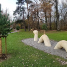 Lochau See UFERLANDSCHAFT Baumpflanzungen PATEN Herbst 16-11-2024 _8_.jpg