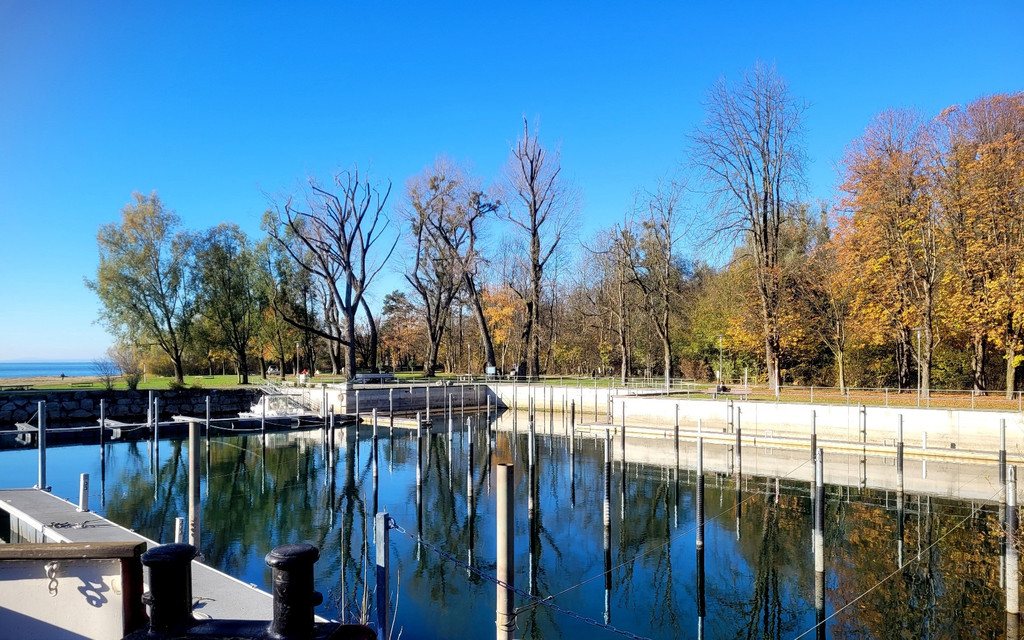 Lochau See UFERLANDSCHAFT Baumpflanzungen PATEN Herbst 16-11-2024 _13_.jpg