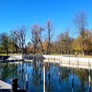 Lochau See UFERLANDSCHAFT Baumpflanzungen PATEN Herbst 16-11-2024 _13_.jpg