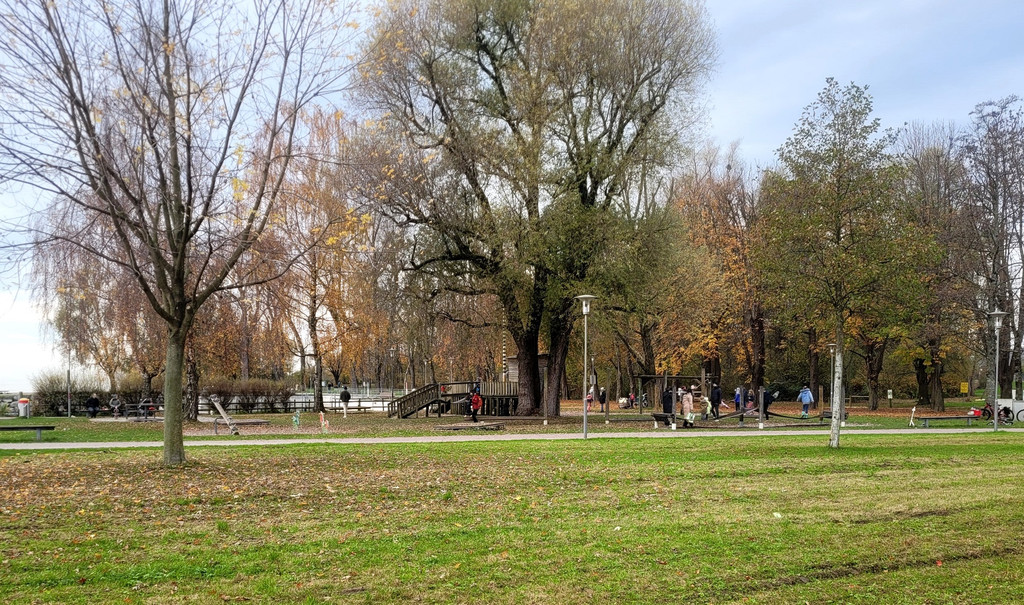 Lochau See UFERLANDSCHAFT Baumpflanzungen PATEN Herbst 16-11-2024 _14_.jpg