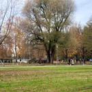 Lochau See UFERLANDSCHAFT Baumpflanzungen PATEN Herbst 16-11-2024 _14_.jpg