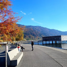 Lochau See UFERLANDSCHAFT Baumpflanzungen PATEN Herbst 16-11-2024 _15_.jpg