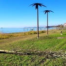 Lochau See UFERLANDSCHAFT Baumpflanzungen PATEN Herbst 16-11-2024 _21_.jpg