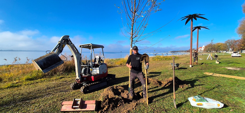 Lochau See UFERLANDSCHAFT Baumpflanzungen PATEN Herbst 16-11-2024 _22_.jpg