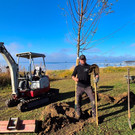 Lochau See UFERLANDSCHAFT Baumpflanzungen PATEN Herbst 16-11-2024 _22_.jpg