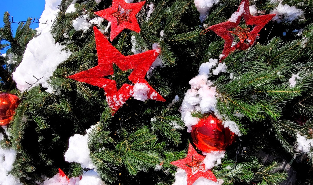 BU OHNE Lochau Schloss Hofen WEIHNACHTSMARKT Symbolfoto EINLADUNG Dezember 2024 _6_.jpg