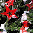 BU OHNE Lochau Schloss Hofen WEIHNACHTSMARKT Symbolfoto EINLADUNG Dezember 2024 _6_.jpg