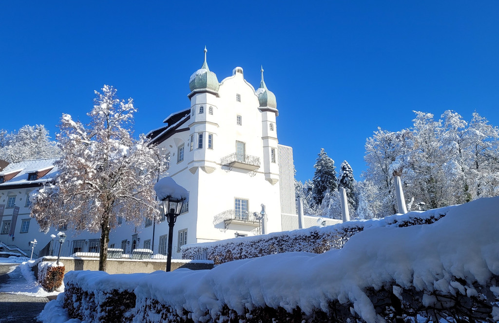 BU OHNE Lochau Schloss Hofen WEIHNACHTSMARKT Symbolfoto EINLADUNG Dezember 2024 _5_.jpg