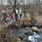 Nikolauswanderung am Alten Rhein