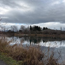 20241204_072441000_iOS 2.jpg