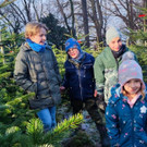 Eine „Pfändertanne“ für Weihnachten vom Christbaumparadies Zußner in Lochau