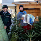 BU 3 Lochau Zussner CHRISTBAUMVERKAUF TERMIN Dezember 2024 _4_.JPG