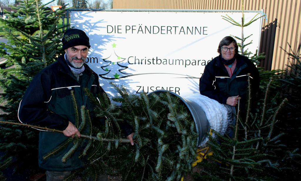 BU 1 Lochau Zussner CHRISTBAUMVERKAUF TERMIN Dezember 2024 _1_.JPG