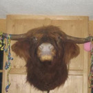 Country-Night in Walters Saloon