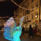 IMG_20241215_173242a.jpg