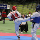 IMG_3392.JPG