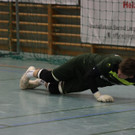 IMG_9704.JPG