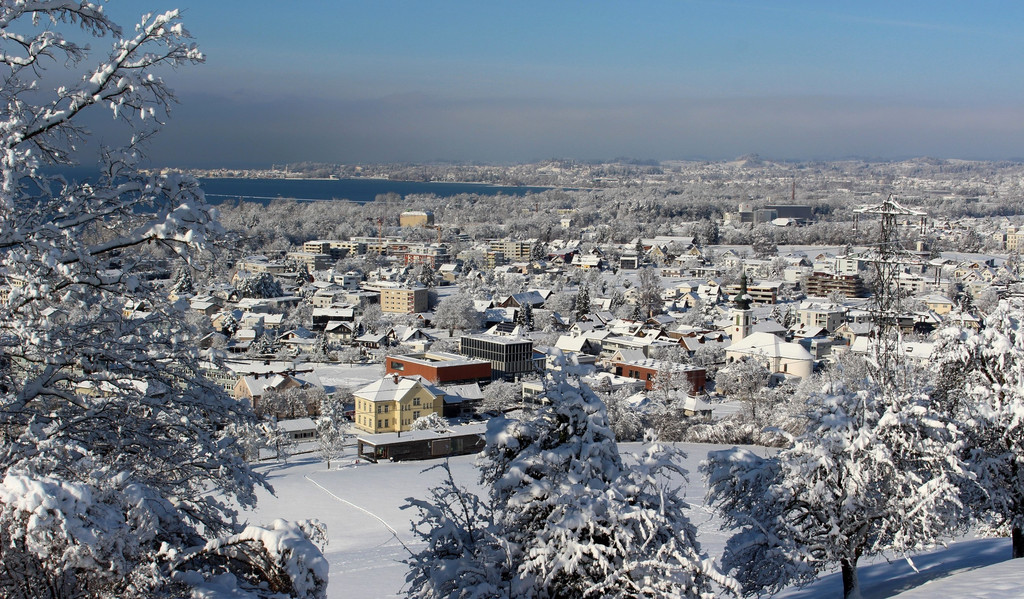 BU 3 WINTER Matt Frank BGM Wahl Lochau Ansicht Dezember  2024r.JPG