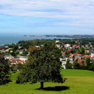 BU 6 LOCHAU ANSICHT Frank Matt BGM WAHL Dezember 2024.JPG