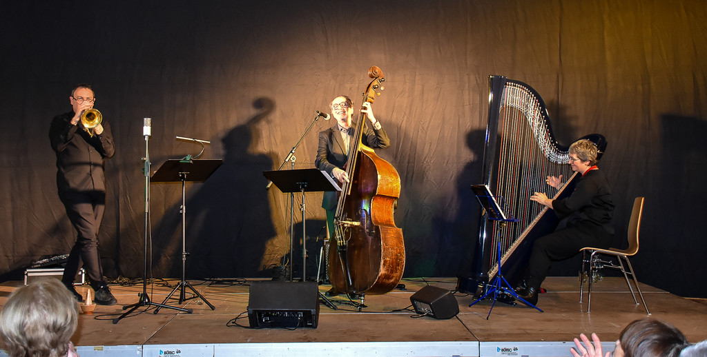 20250105_Jazz am See-22.jpg