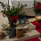 DSC_202501040277.jpg