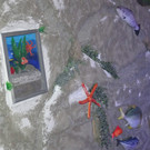 DSC00642.JPG