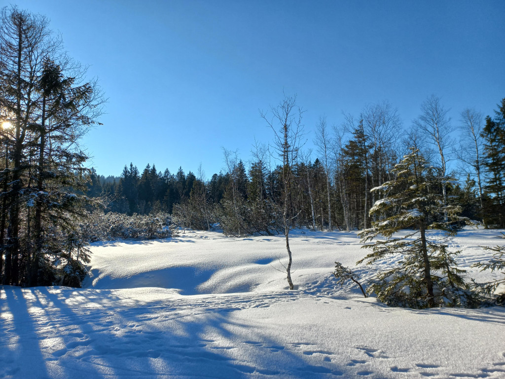 20250116_144720.jpg