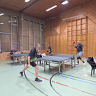 Seniorenlandesmeisterschaften in Hörbranz 2024