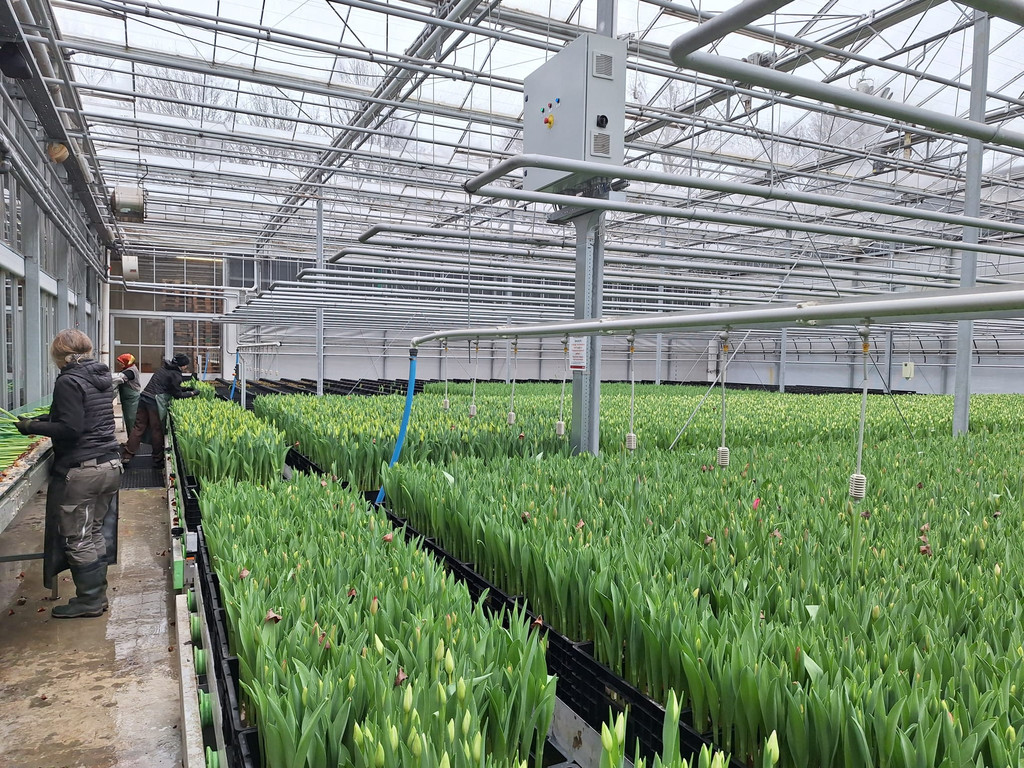 2025-01-22 XavdrS um 21_06_22_5edc86ed.jpg