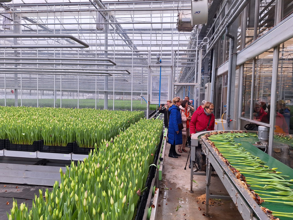 2025-01-22 XaverS um 21_06_22_c49b3774.jpg