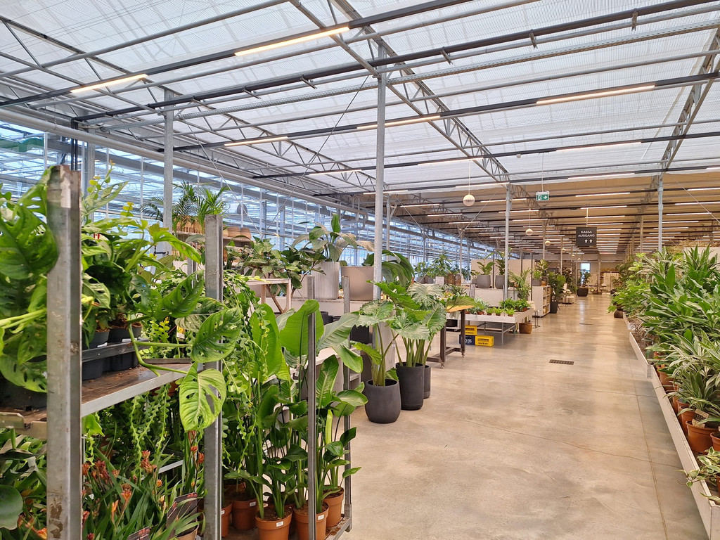 2025-01-22 XaverS um 21_08_05_953363ff.jpg