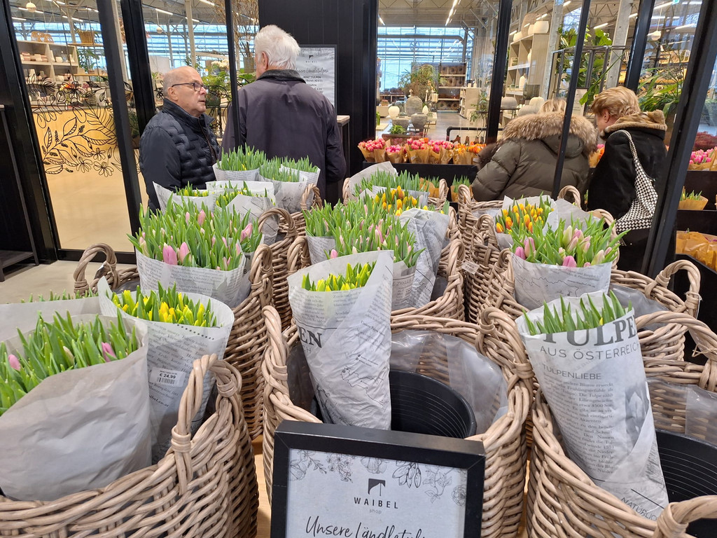 2025-01-22 XaverS um 21_10_49_520ef410.jpg