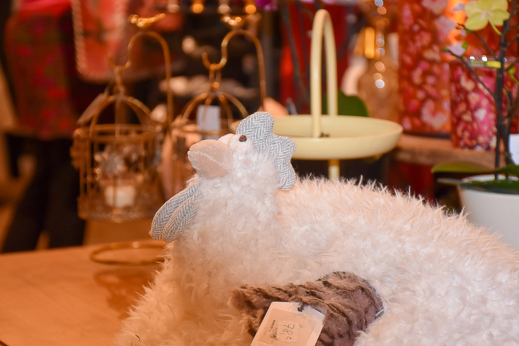 20250131_Blumiges Kleiderzimmer-31.jpg