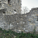 Ruine Neu  _16_.jpeg