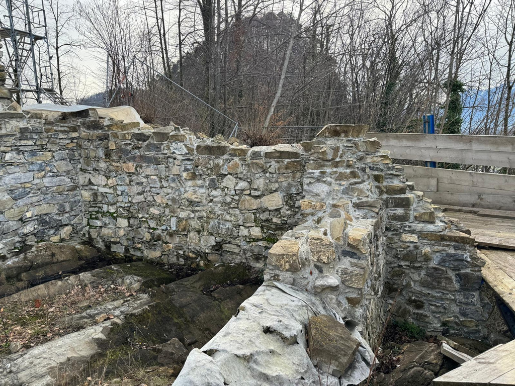 Ruine Neu  _15_.jpeg
