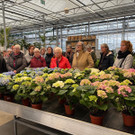 Farbenfrohe Tulpenführung bei Waibel in Mäder