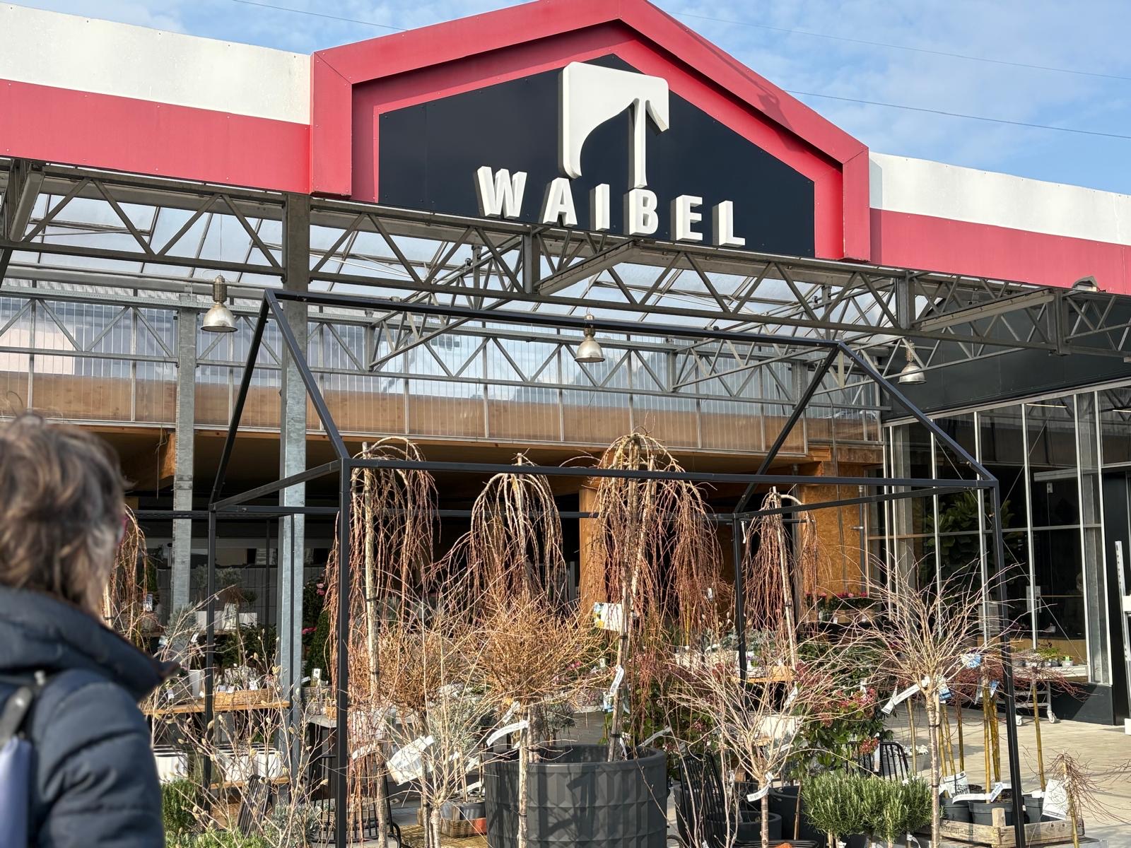 Waibel_5.JPG