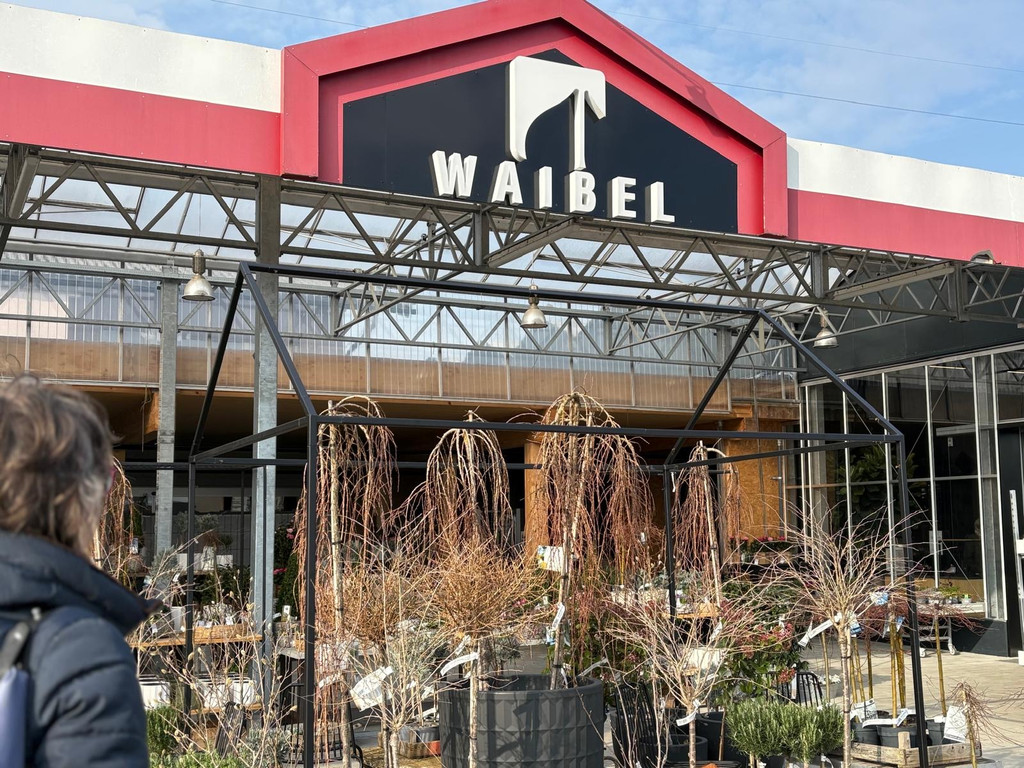 Waibel_5.JPG