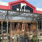 Waibel_5.JPG
