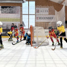 Rollhockey-Nachwuchs glänzt bei Turnier