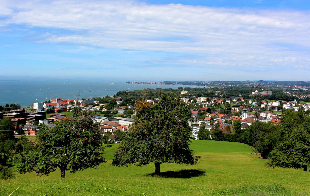 BU 5 Lochau als beliebte Wohngemeinde Symbolfoto Februar 2025 _3_.JPG