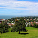 BU 5 Lochau als beliebte Wohngemeinde Symbolfoto Februar 2025 _3_.JPG