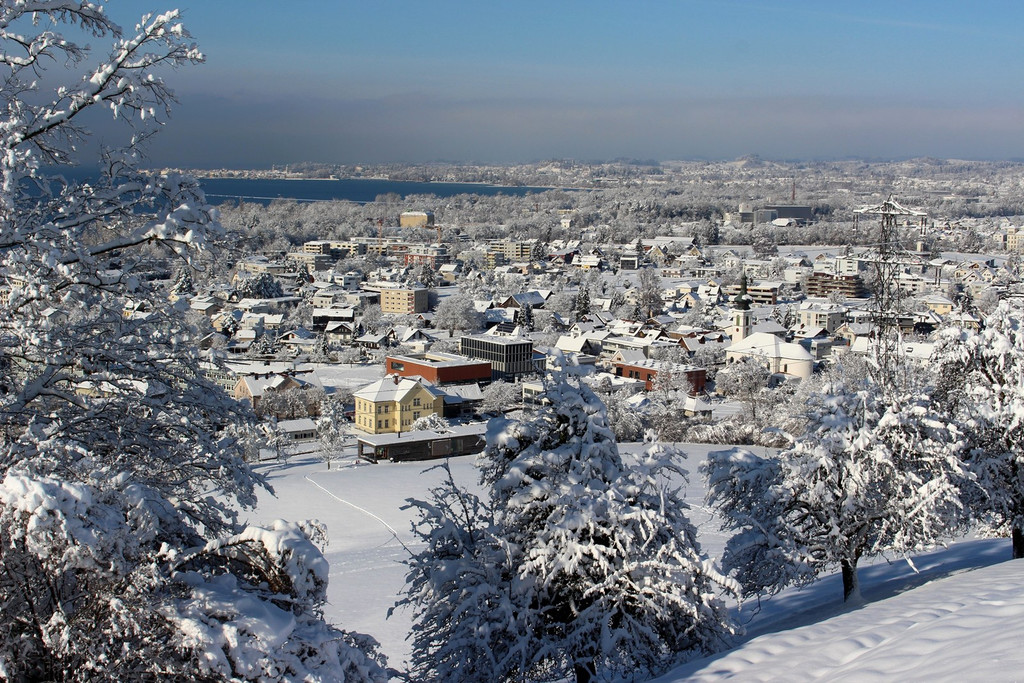 BU 7 Lochau als beliebte Wohngemeinde Symbolfoto Februar 2025 _4_.JPG