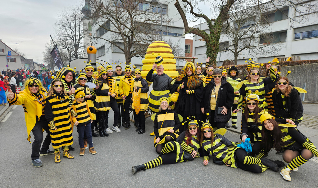Fasching UMZUG Kinderfasching in Lochau 23-02-2025 _16_.jpg