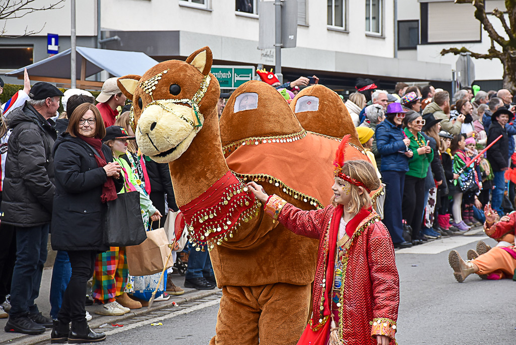 20250223_Faschingsumzug-134.jpg