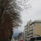 IMG_0788.JPG